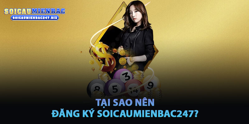Tại Sao Nên Đăng Ký Soicaumienbac247?
