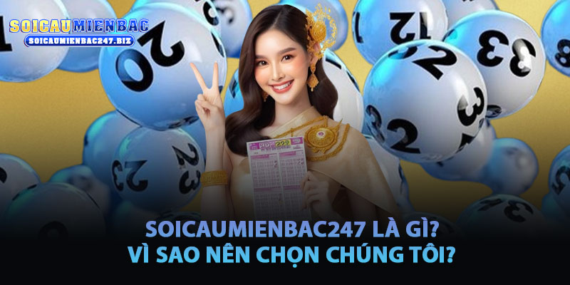 Soicaumienbac247 Là Gì? Vì Sao Nên Chọn Chúng Tôi?