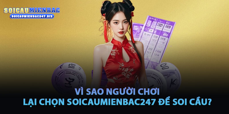 Vì Sao Người Chơi Tin Tưởng Soicaumienbac247 Khi Soi Cầu Miền Bắc?