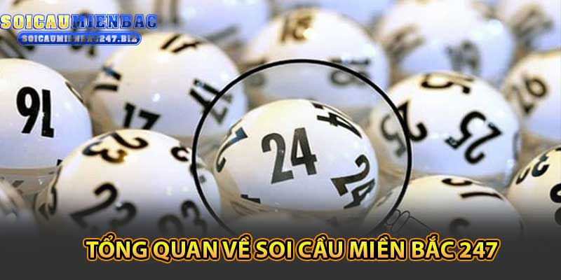 Tổng Quan Về Soi Cầu Miền Bắc 247