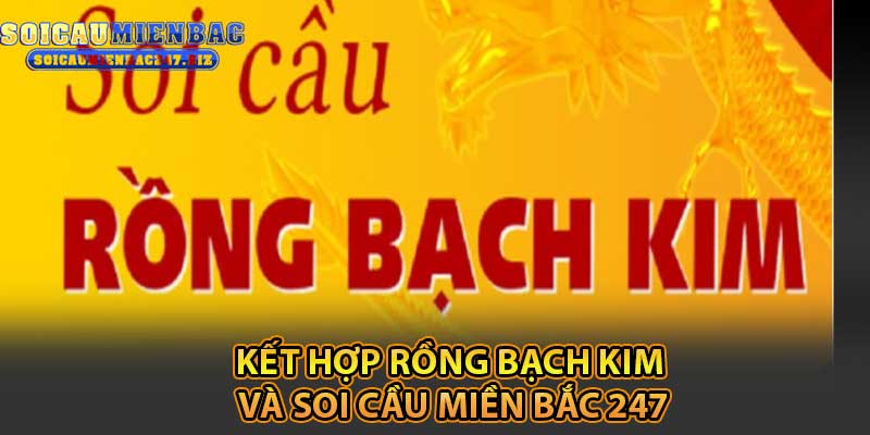 Kết Hợp Rồng Bạch Kim Và Soi Cầu Miền Bắc 247